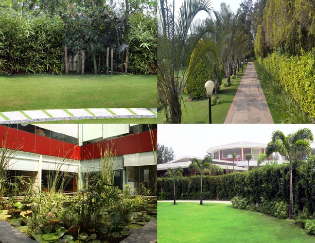 gardening-management1