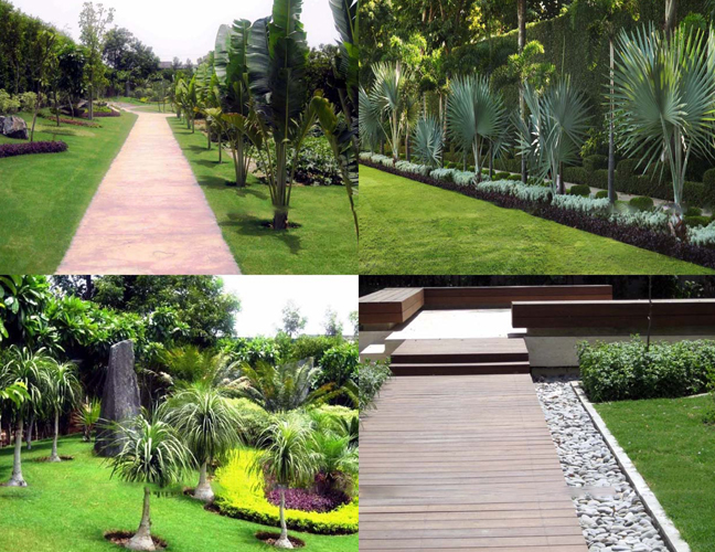 iIrrigation-services2