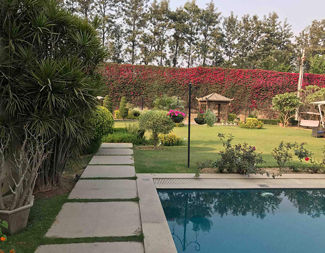 landscpe-1